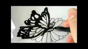 Did you notice when butterfly sits on a flower it opens and closes the wings. How To Draw Butterfly Realistically On A Flower Step By Step For Beginners Rock Draw