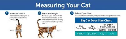 Buy Petsafe Big Cat 4 Way Locking Cat Door Exterior