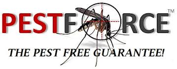 Pest control service dhaka bangladesh cockroaches control service termite control service rodent control mosquito control bed bug control we are a pest management company that built a very strong reputation in the field today residential and commercial customers for our services. Residential Pest Control Services