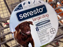Because that ingredients are the same but, there is no difference chemically between a cat, small dog, or large dog seresto collar. Congress Asks For Recall Of Flea Collar That May Be Linked To Nearly 1 700 Pet Deaths The Independent