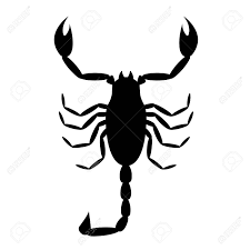 Does pest control work on scorpions as it does other nuisances like roaches, silverfish or bed bugs? Scorpion Icon Pest Control Clipart Isolated On White Background Royalty Free Cliparts Vectors And Stock Illustration Image 112216913
