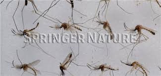 Bei herbstlichen temperaturen können sich mücken noch in warme räume retten. Rki Rechnet Mit Ausbreitung Des West Nil Virus In Deutschland