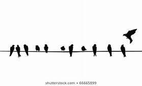 Bird On A Wire Meaning 31 Birds On A Telephone Wire Outline Yahoo Image Search Results Bird Silhouette Birds Telephone