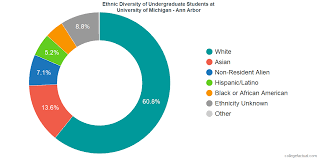 university of michigan ann arbor diversity racial