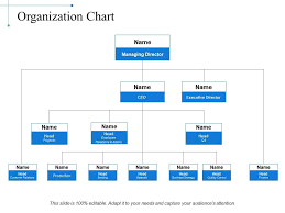 Organization Chart Example Of Ppt Powerpoint Presentation