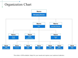 organization chart example of ppt powerpoint presentation