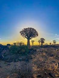 3 Awesome Things To See Around Keetmanshoop Namibia Beautiful Places Namibia Best Sunset
