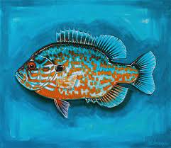 Pumpkinseed Fish Artwork Fish Art Fish Painting
