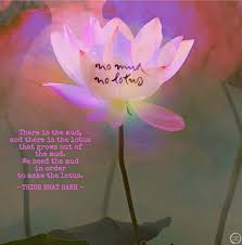 Let these funny lotus quotes from my large collection of funny quotes about life add a little humor to your day. No Mud No Lotus Thich Nhat Hanh Quote Collectiveà¥