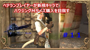 Ff14 ベテランプレイヤーが新規キャラでハウジングｍサイズ購入を目指す １１ １５６時間 動画の補足 Ff14で家を買う