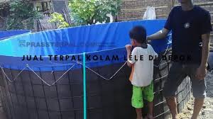 Jual Terpal Kolam Lele Di Depok Prassterpal Com