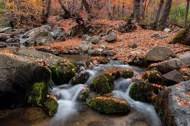 Para acceder debes ingresar en vehículo ya que la locomoción colectiva no llega al lugar. Santuario De La Naturaleza Alto Huemul Un Espectaculo Otonal Ladera Sur