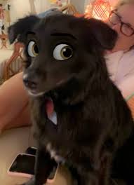 Me books is an app for buying and reading digital children's picture books, including those based on brands like peter rabbit, peppa pig and charlie. This Snapchat Filter Makes Your Dog Look Like A Disney Cartoon