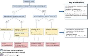 Flowchart For Integration Of Study Types For Antibiotic Atb