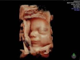 Weird And Fantastic Things