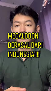 Sukabumi sarang megalodon 😳