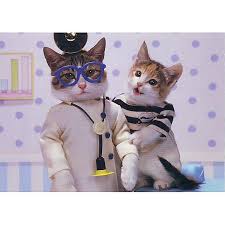 Cat Doctor And Patient Postcard Atomic Books