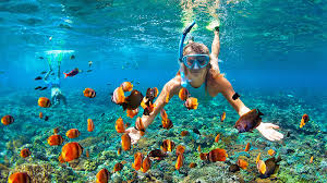 Top Tripadvisor Things To Do Maui Skyline Hawaii Blog Skyline Hawaii