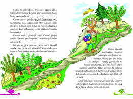 Dogada Yuruyus Bitki Yesil Doga