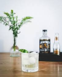 Gin og tonic (g&t) er en drink, der stammer fra indien, hvor udstationerede britiske soldater drak tonicvand for at undgå malaria, da tonics daværende indhold af kinin havde en præventiv effekt. Gin Och Tonic Varens Drink Dinvinguide