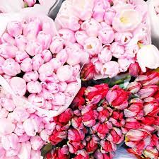 We did not find results for: Postcards From My 21st Birthday Week Flowers Uk Amazing Flowers Spring Flowers