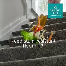 See more of hanover carpet one floor & home on facebook. Hanover Carpet One Floor Home Home Facebook