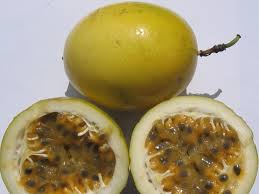 Voavanga Fruit Pictures Fruit Fruit Picture Fruit Names