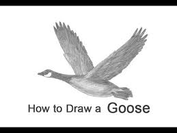 What's the best way to draw a dragon? How To Draw A Canada Goose Flying Youtube