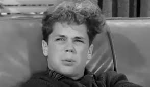 UPDATE: Tony Dow of Leave It To Beaver Still Alive