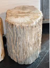 Petrified Log Side Table Di 2020