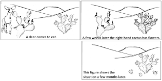 North american desert rodents include merriam's kangaroo rat dm (dipodomys merriami),. 8 1 Natural Selection Protocol Biology Libretexts