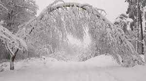 Deze foto gaat over storm, winter, wit. Precies Een Jaar Geleden Bijna Een Halve Meter Sneeuw Op De Veluwe Omroep Gelderland