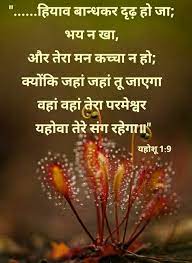 Pin By Rita Rathod On Hindi Gujarati Plants Dandelion Flowers