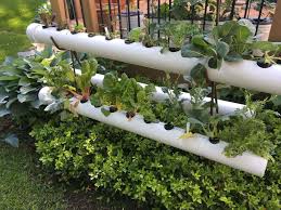 Indoor hydroponic wall garden 24. Useful Ideas For The Hydroponic Gardening For Your Garden