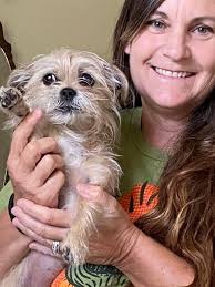 Lost Dog in Mechanicsville, VA