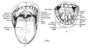 Figure 51 1