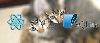 React Native Sqlite Offline Android Ios Apps