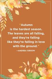 Brown inspirational quote photo banner facebook cover photo. 55 Fall Season Quotes Best Sayings About Autumn