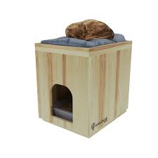 Ladin Kedi Evi Ahsaba Dair Her Sey