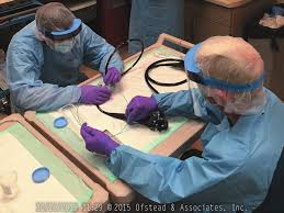 Endoscope reprocessing • Improving sepsis care • When duty calls •  Onboarding a novice IP • Foodborne illnesses