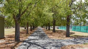 Type location gardener closest teleport image 2 allotment 1 flower 1 herb: Coronavirus Adelaide Fruit Trees For Adelaide Parklands The Advertiser