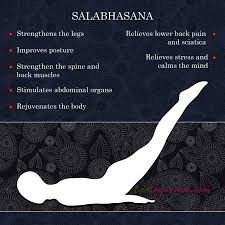 Salabhasana Locust Pose Or Grasshopper Pose Method Uses Ayurveda View