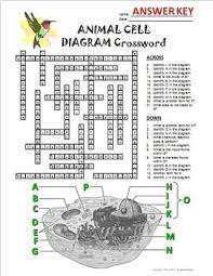 Tangstar science animal cell diagram crossword answer key. Animal Cell Crossword With Diagram Printable Distance Learning Options