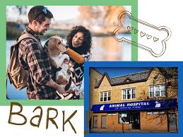 Janssen is really good with them and he always knows exactly what will help them. Veterinarians Animal Clinic Hospital In Jersey City