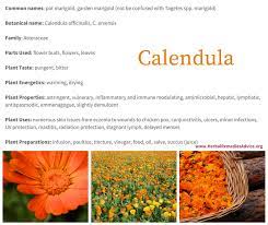 Maybe you would like to learn more about one of these? Calendula Benefits