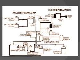 Yeast Production