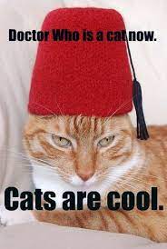 doctor cat doctor cat original doctor who doctor who