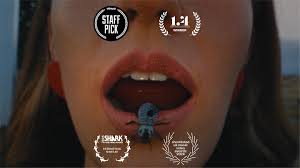 Made things for @zaraman with good people… the end? director: @_rubberband  ep: @_sarawallace production co: @smugglersite producer: @joshsondock  production manager: holland kemp production coordinator: @brody.ali dp:  @packdrawn production designer ...