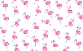 Pin By Alyssa Lockerbie On 456 Desktop Wallpaper Flamingo Wallpaper Backgrounds Girly
