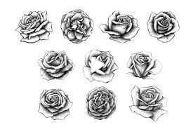 Hand Drawn Rose Collection Graphics Youworkforthem Roses Drawing Rose Drawing Tattoo Realistic Rose Tattoo